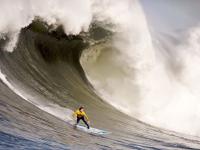 IM电竞官网入口-莱万冠军级表现定乾坤，德国战车碾过黄色潜水艇