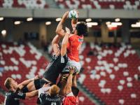 IM电竞注册-羽坛冰与火，丹麦险胜马来西亚，辛杜破纪录书写新章