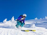 IM电竞-沪上寒刃，当上海队绝杀迈阿密，东契奇已成燎原之火