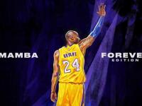 IM电竞APP-蓝黑之刃与波斯铁骑，从一场血拼到恩佐的纪录之夜，足球世界的唯一性叙事