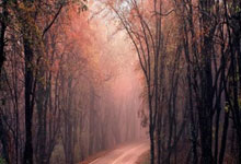 IM电竞游戏-包含摩洛哥力克瑞士，姆巴佩统治全场的词条